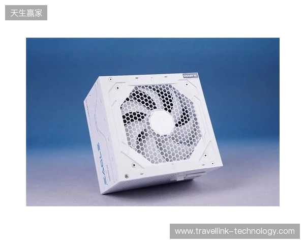 黑白双鹰，白金降临：技嘉猎鹰 冰猎鹰白金电源4月27日开售